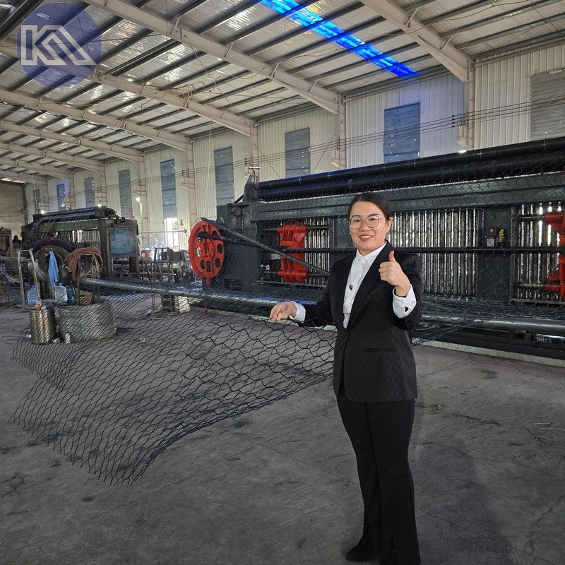 Galvanized And PVC Gabion Box Hexagonal Wire Mesh Gabion Basket and Gabion Mattress for Dam Protection