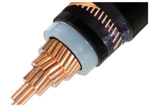 China Medium Voltage XLPE Insulated Power Cable Single Core 3 Core Copper Conductor XLPE Insulated Cable N2XSY on sale
