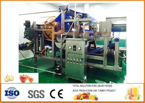 Automatic 10T/H Capacity Apple Juice Processing Line