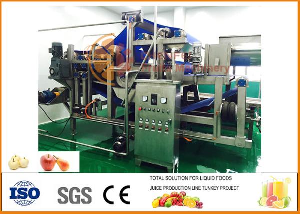 Quality Automatic 10T/H Capacity Apple Juice Processing Line for sale