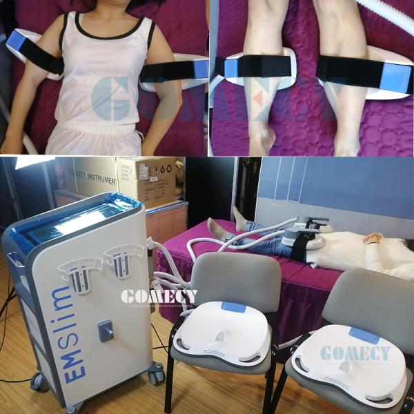 Portable Emslim Body bodyshaping Machine 100Hz With 4 Handles
