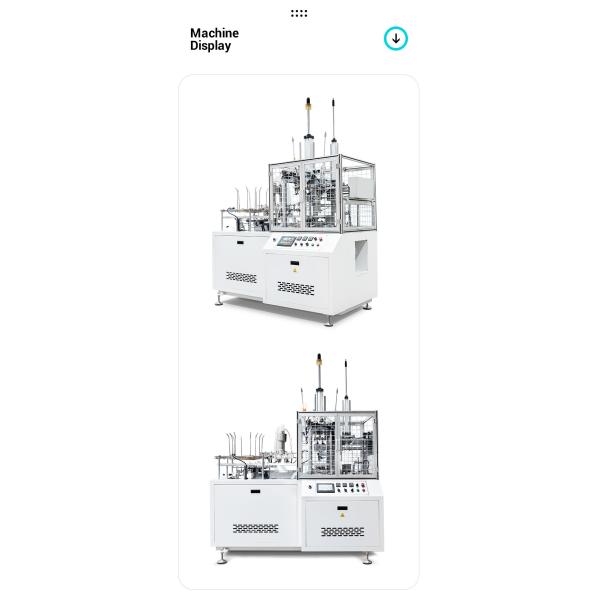 Full Automatic Disposable Paper Lunch Box Making Machine 30-50pcs/min
