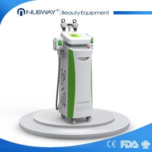 China new model cryolipolysis salon use multifunction cavitation rf cryolipolysis machine on sale