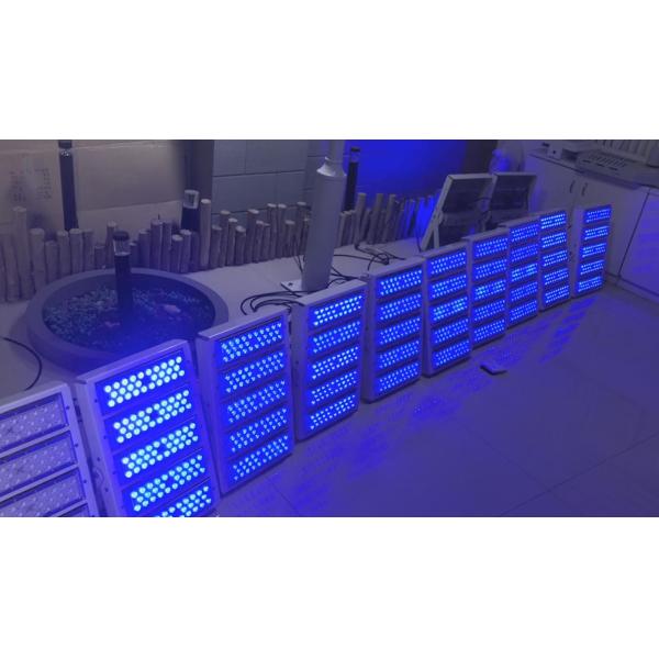 Multicolor LED Module 35W Rgb Led Flood Light Module Outdoor Led Christmas Lights