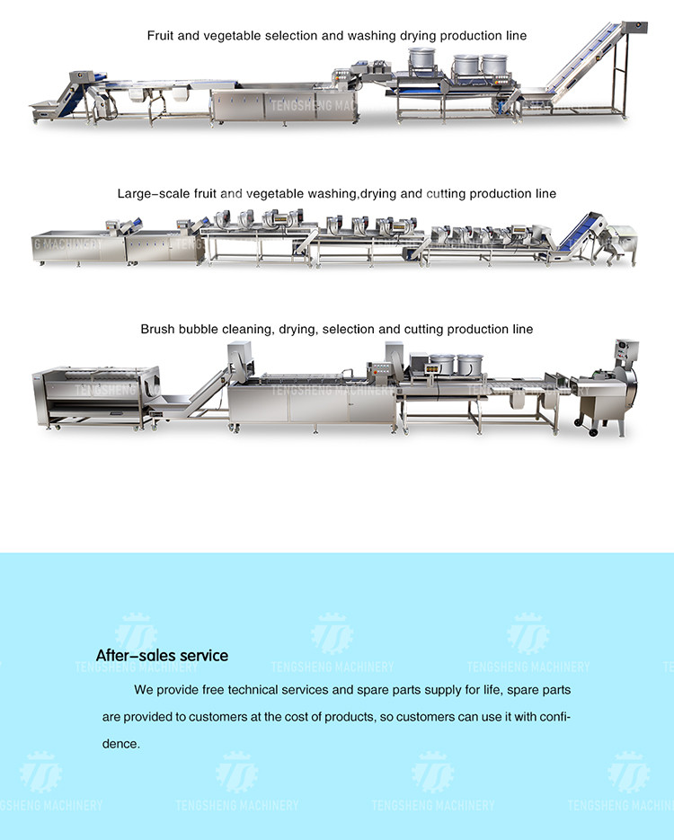 Industrial Automatic Leafy Vegetable And Fruit Lifting Sorting Table Machine