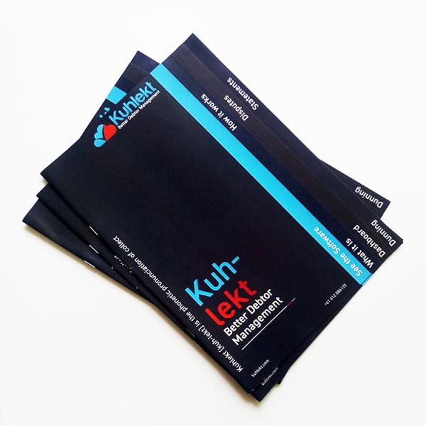 Quality Leaflet Booklets Brochure Printing Services Saddle Stitching 4C Offset for sale