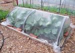 Garden Insect Mesh Netting 20 Mesh Count Polyethylene Agricultural Netting
