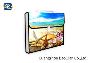 3D Lenticular Picture Expanding File Folders , Presentation Folder Printing