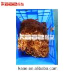 SS304 Dried Persimmon Processing Line Persimmon Peeling Machine For Persimmon