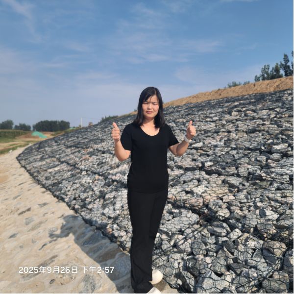 Double Twisted Gabion Flexible Durable Versatile Stone Retaining Wall Based Approach To Erosion Control Use Mountain