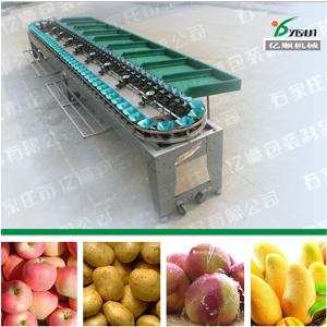 Mango grading machine YSXD--66-8-86