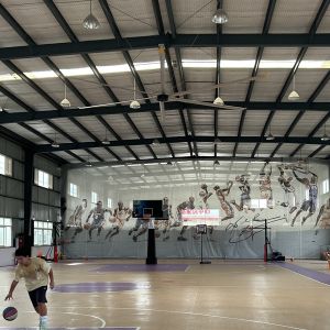 Buy cheap 7.3m Giant Ceiling Fans product