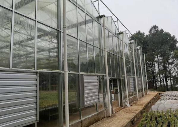 Quality 8 Meters Single Span Greenhouse With Irrigation Heater Systems For Winter for sale