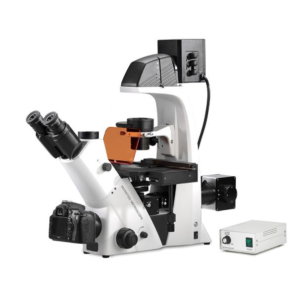 Quality Trinocular Inverted Biological Microscope Epi Fluorescence Biological Phase Contrast Microscope for sale