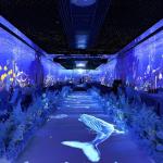 Multi Projection 3D Interactive Immersive Projector Holographic Projection