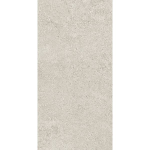 Light Gray Inside Floor Antibacterial 600x1200mm Matt with Mould Surface Porcelain Tiles For Bathroom and Renovation