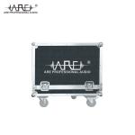 ARE AUDIO dual 12 inch outdoor line array compact and powerful line array