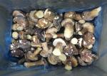 HACCP Delicious IQF Frozen Wild Cultivated Boletus Edulis