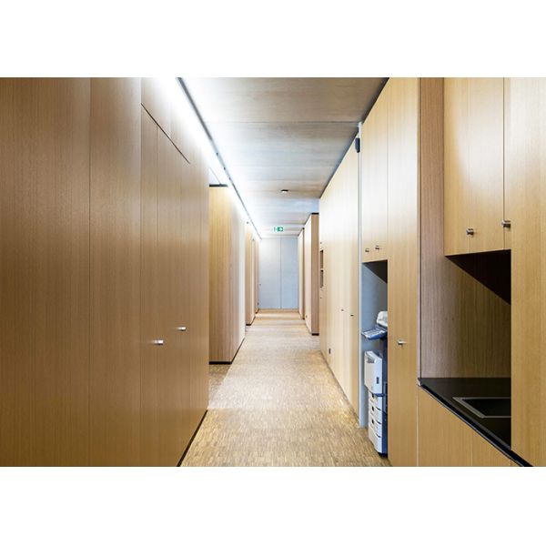 solid partition color optional with Triamine board HPL steel panel indoor