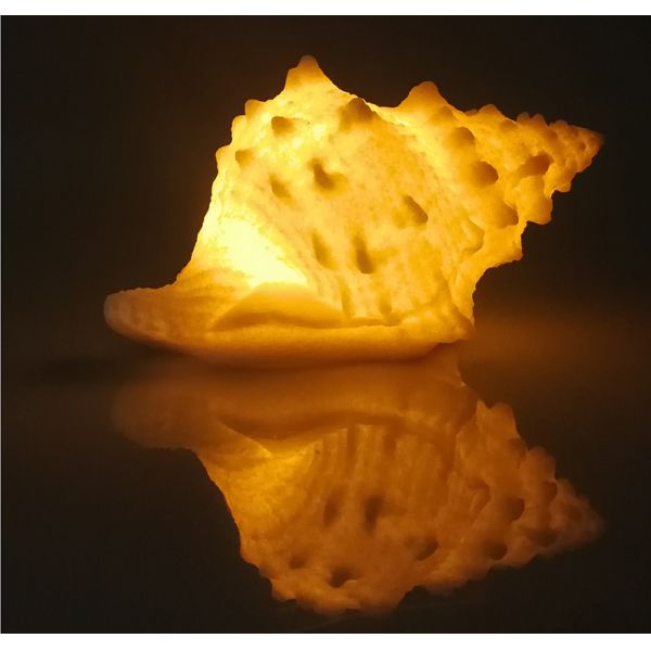 2700K Motion Sensor LED Light Plug In Sensor Night Lights Warm White