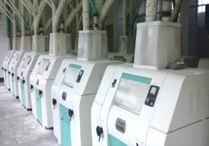200tpd Wheat Flour Milling Plant Turnkey Project Customization