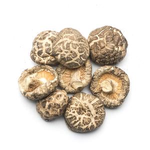 Versatile Dried Flat Shiitake Mushrooms For Culinary