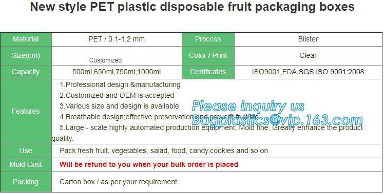 Blister large clear plastic fruit container with lid for fruit packaging,blister fruit box /container/ fruit Tray/ Clear