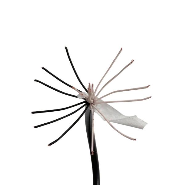 Quality 6 Core PVC Sheathed Cables high temperature Insulated Tinned Multicore for sale