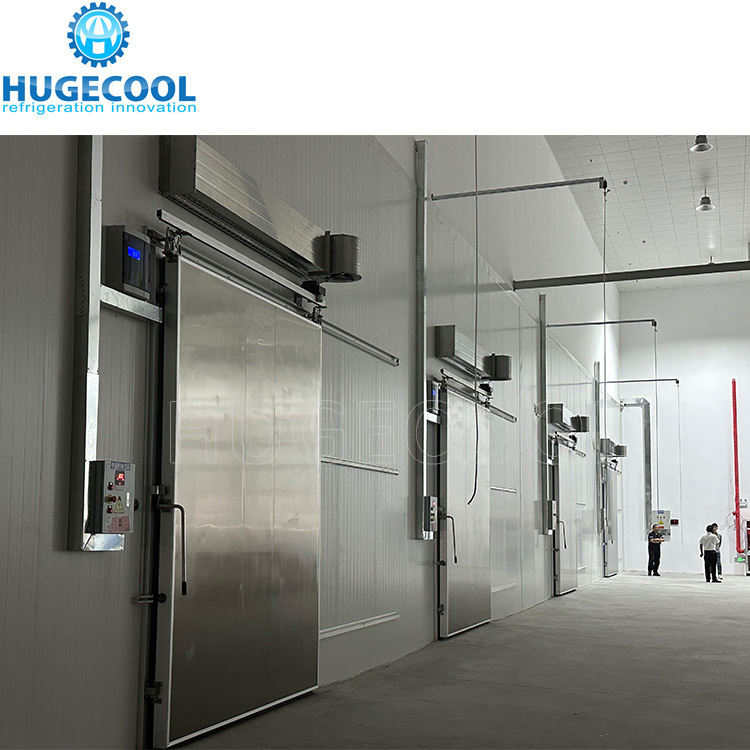 Beef Slaughter Plant Cold Storage Blast Freezer with Stainless Steel Panel