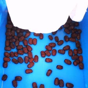 Buy cheap 3 Ton/H Output 1-Year Warranty Red Dates Sorting Machine With CE Certificates product