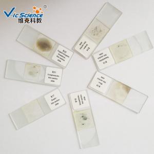 Buy cheap Mineral And Rock Prepared Microscope Slides 100 Kinds 76.2×25.4×(1.0-1.2) Mm product