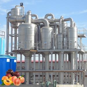China Commercial Peach Processing Plant Apricot Puree Plum Jam Production Line on sale