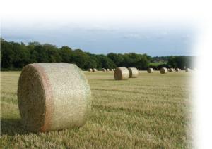 China Hdpe Bale Net Wrap on sale