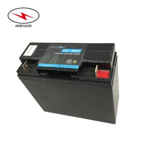 Power Bank 4000 Cycles 12V 20Ah LiFePO4 Lithium Battery