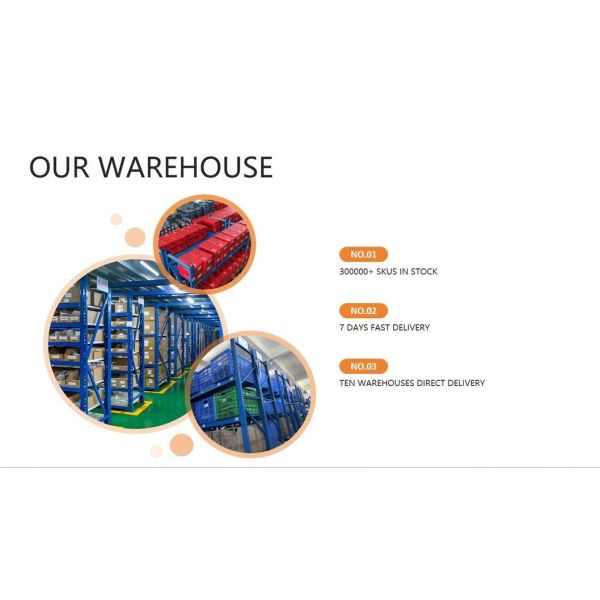 Auto Parts Straps Custom Polyester Material Car Webbing Straps with ISO9001 Certification