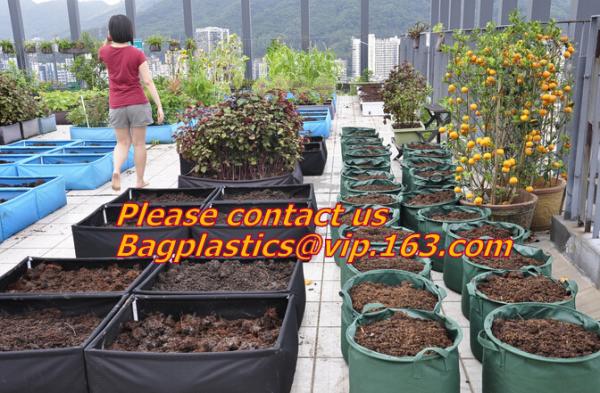 Quality vegetables, fruits, seeds, bedding plants, tomatoes, peppers, cucumbers, tree starters for sale