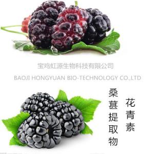 China 100% pure natural Mulberry Fruit Extract/ Mulberry Extract powder on sale