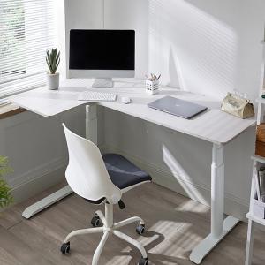 Multi-Function Adjustable Table Electric Motor Lifting Sit Stand Desk for Professional