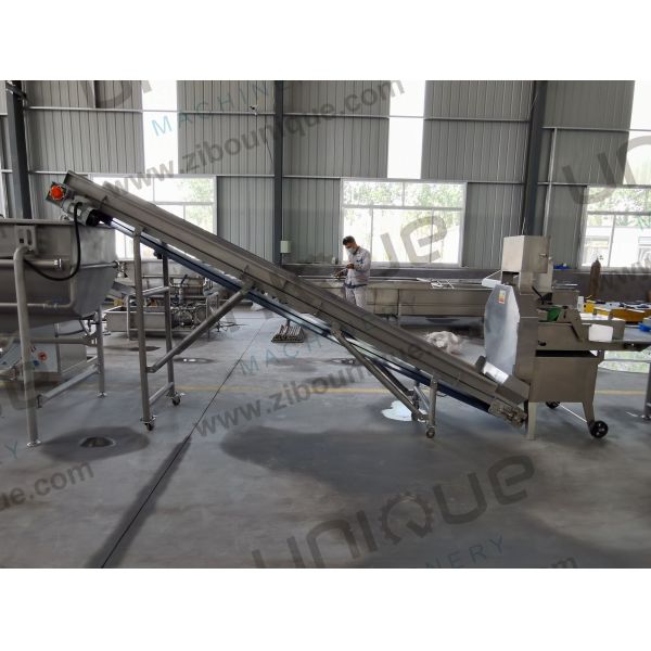 Salad Processing Made Easy Vegetable Washing Machine for Baby Spinach Lettuce Cabbage