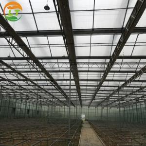 Greenhouse Multi Span Agriculture Polycarbonate Greenhouse for Optimal Air Flow