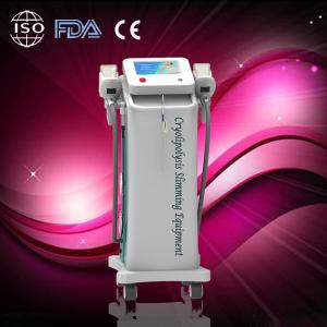 Buy cheap Radio Frequency Cryolipolysis Slimming Machine Pulse With CE certification product