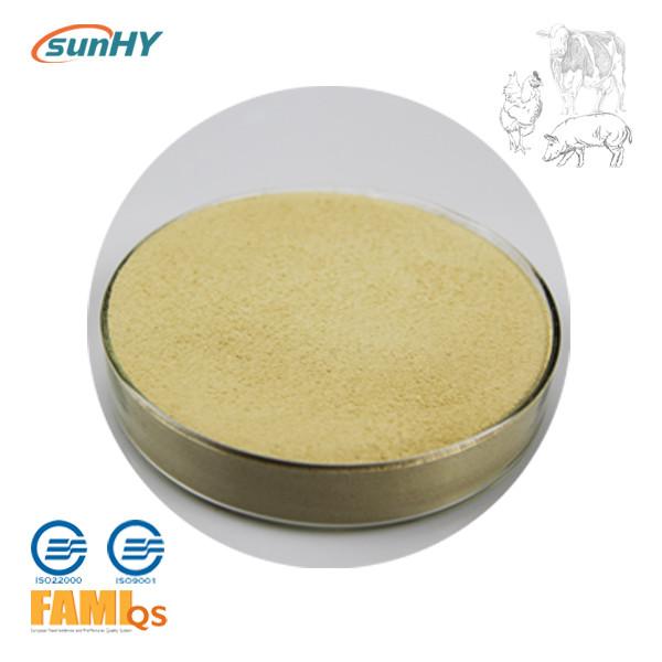 Quality Sunpro B ultrafine , a novel and fine granule alkaline protease used to improve digestibility of dietary protein for sale