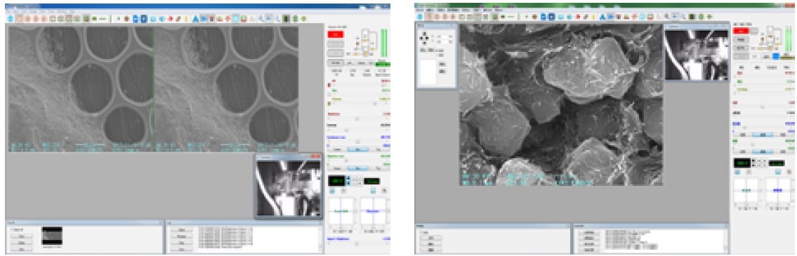 8X-300,000X Scanning Electron Microscope 3-6nm Resolution EBSD EBSD