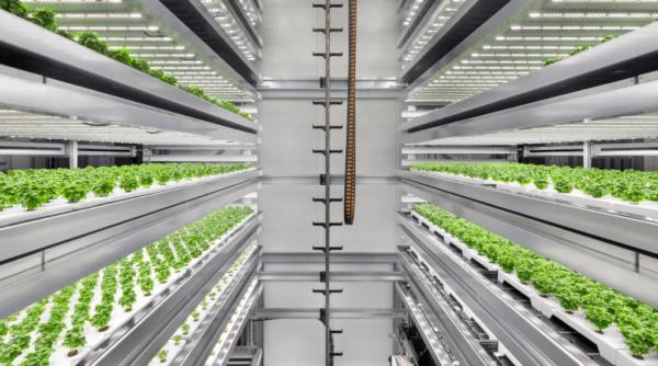 Quality Indoor Plant LED Grow Lights 3rd Generation Customized 100 Watt Full Spectrum Grow Light for sale