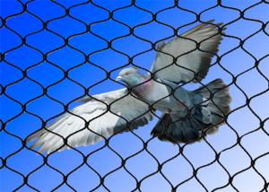 Buy cheap Hand Woven Aviary Wire Netting Inox Line Customized 7x7 / 7x19 Structure product
