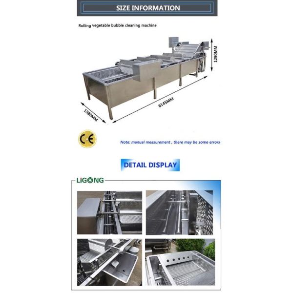 Washing Drying Grading Fruit Vegetable Processing Machines