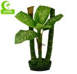 Diy Artificial Bonsai Tree Real Touch Artificial Diffenbachia