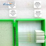 Laboratory Teaching Protozoa Algae 20pcs Microscope Glass Slides