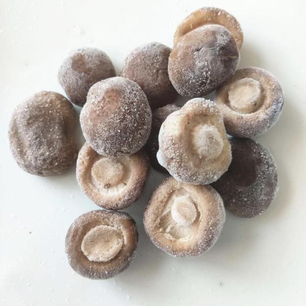 Quality IQF Frozen Shiitake Mushroom Whole, blanched for sale