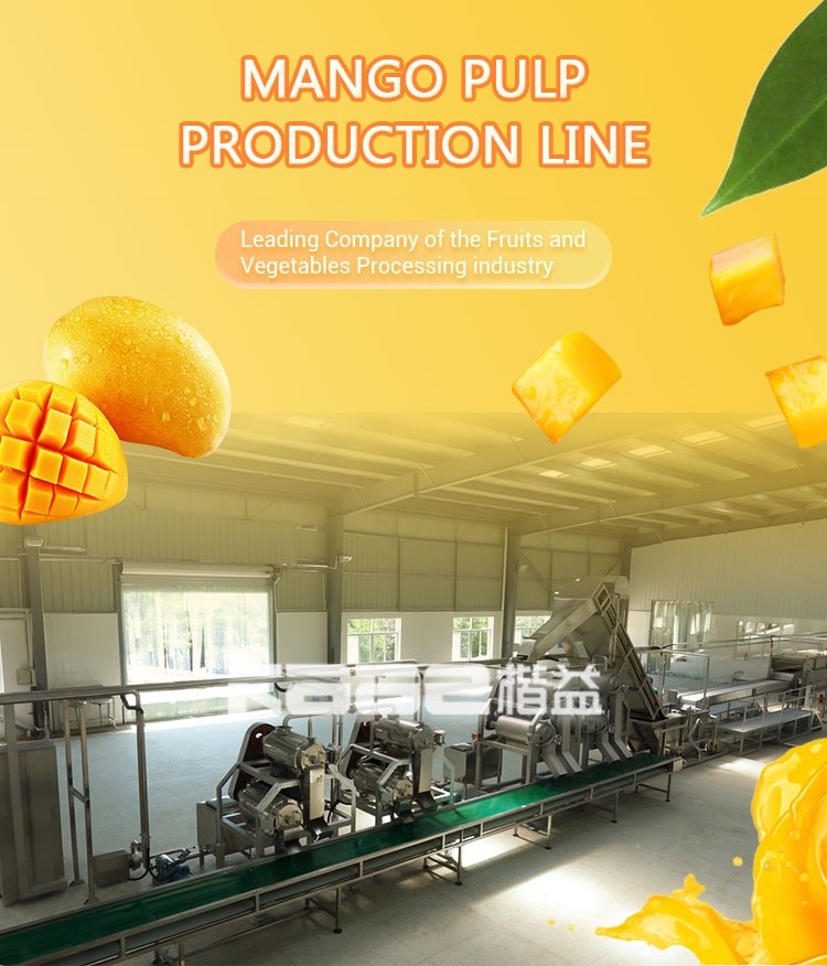 120T/H Mango Pulp Mango Processing Line Fruit Puree Production Line
